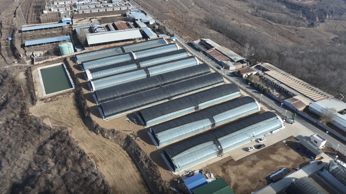 图示, 示意图&#10;&#10;中度可信度描述已自动生成