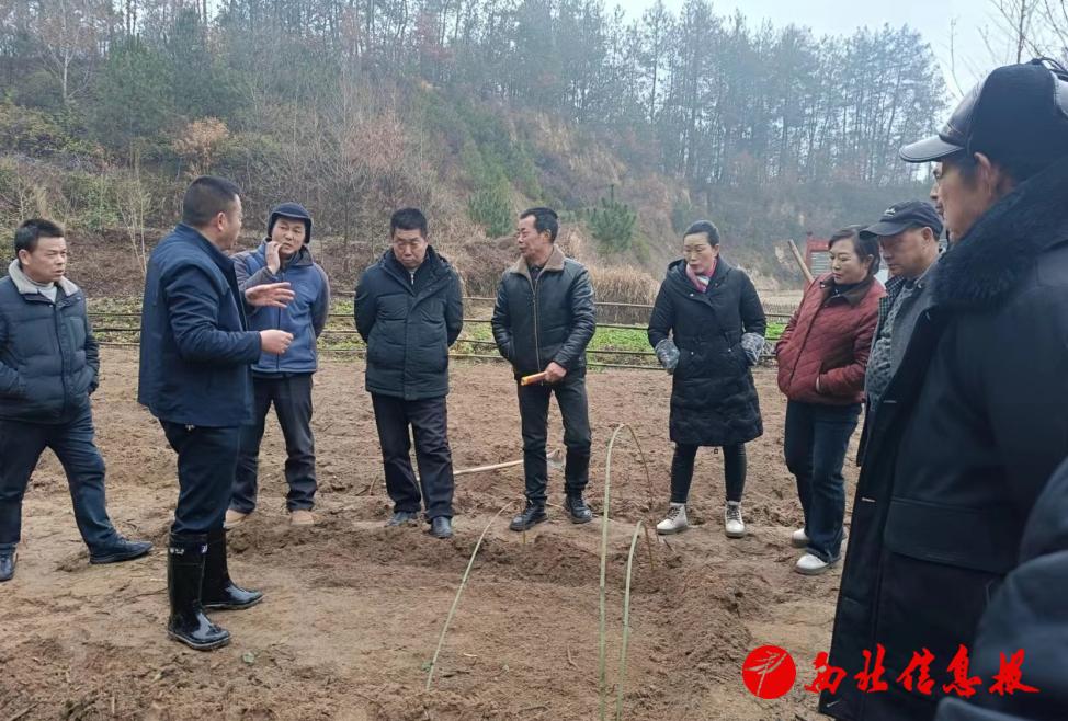 微信截图_20250228160341