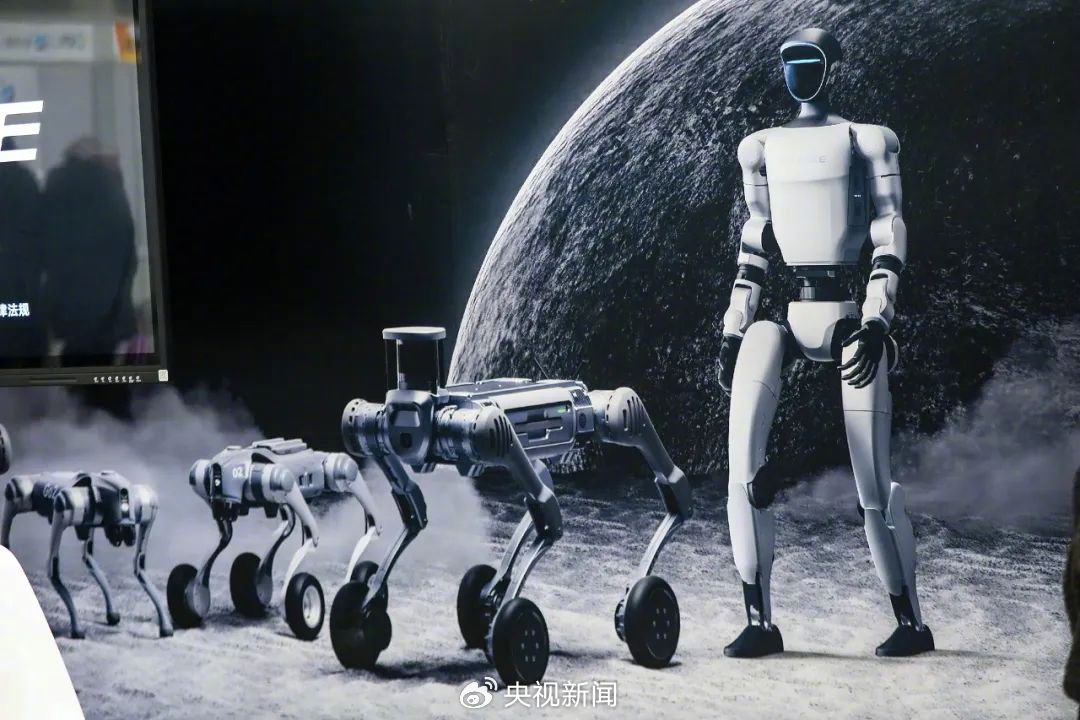 20250305104958059-56-800b4.jpg