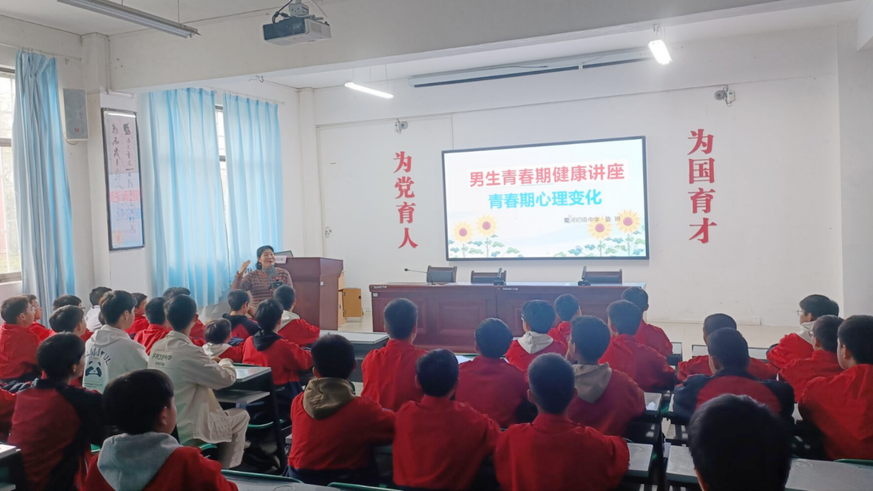图片3
