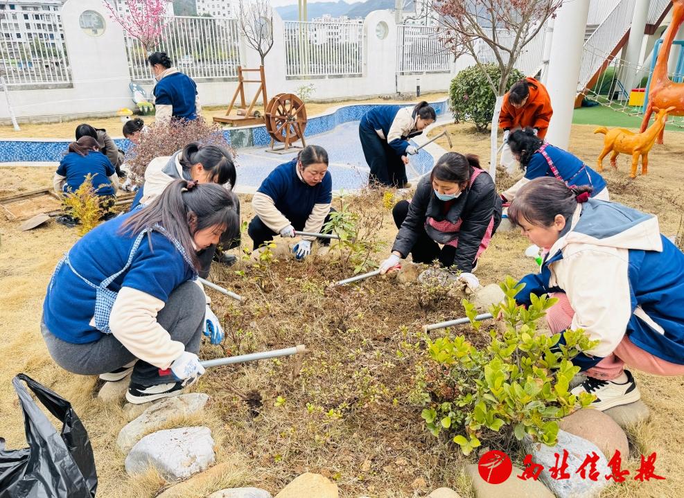 微信截图_20250313084738