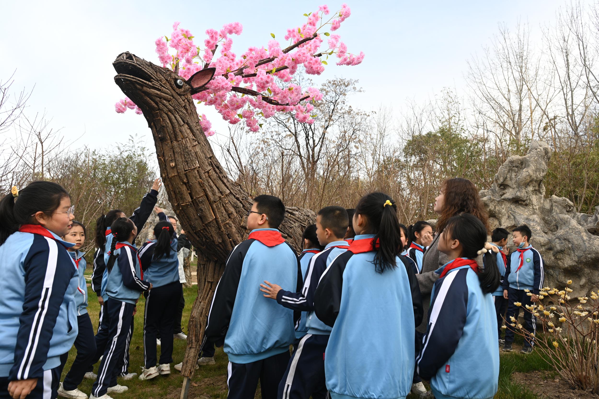 微信图片_20250321192747