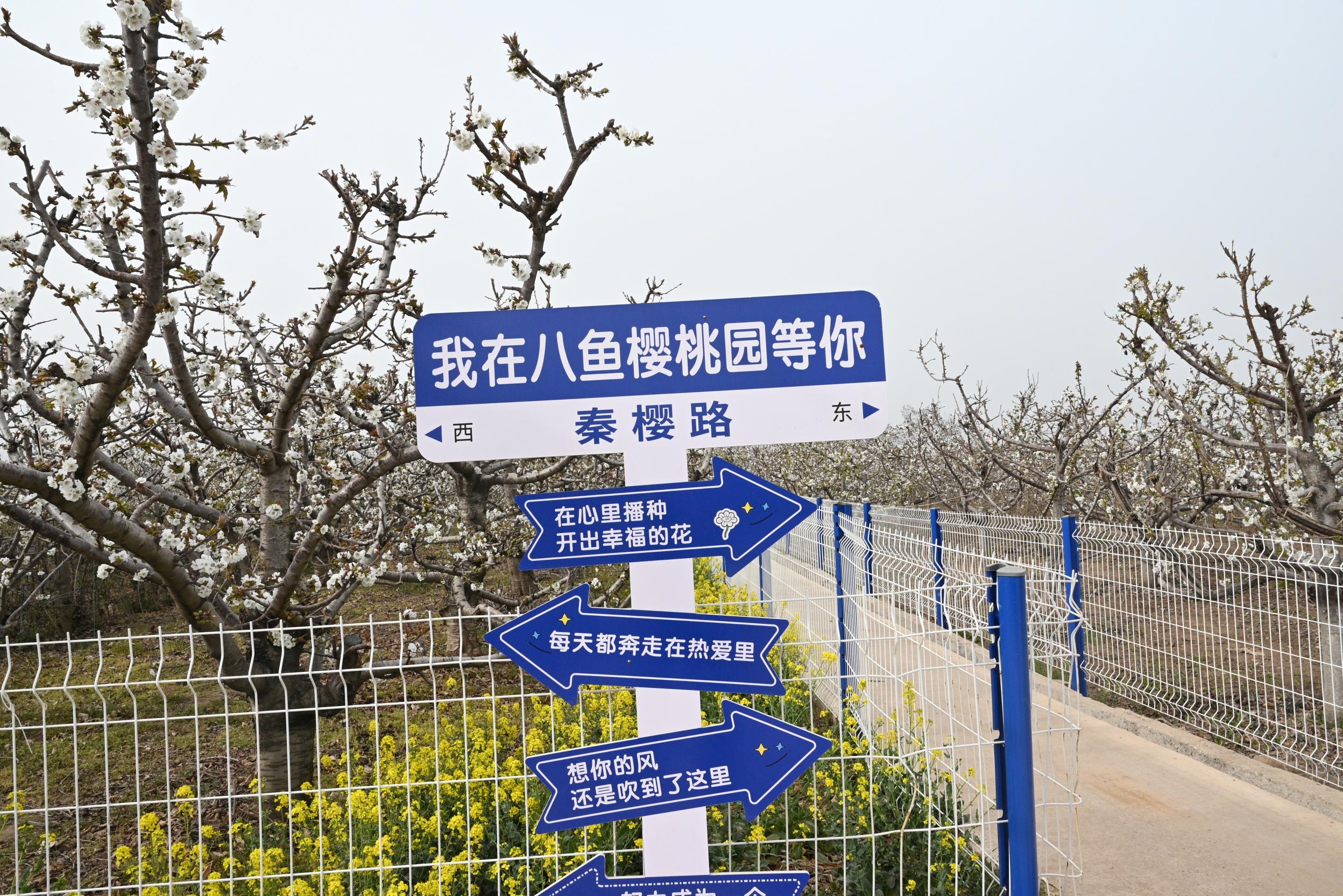 微信图片_20250402172411