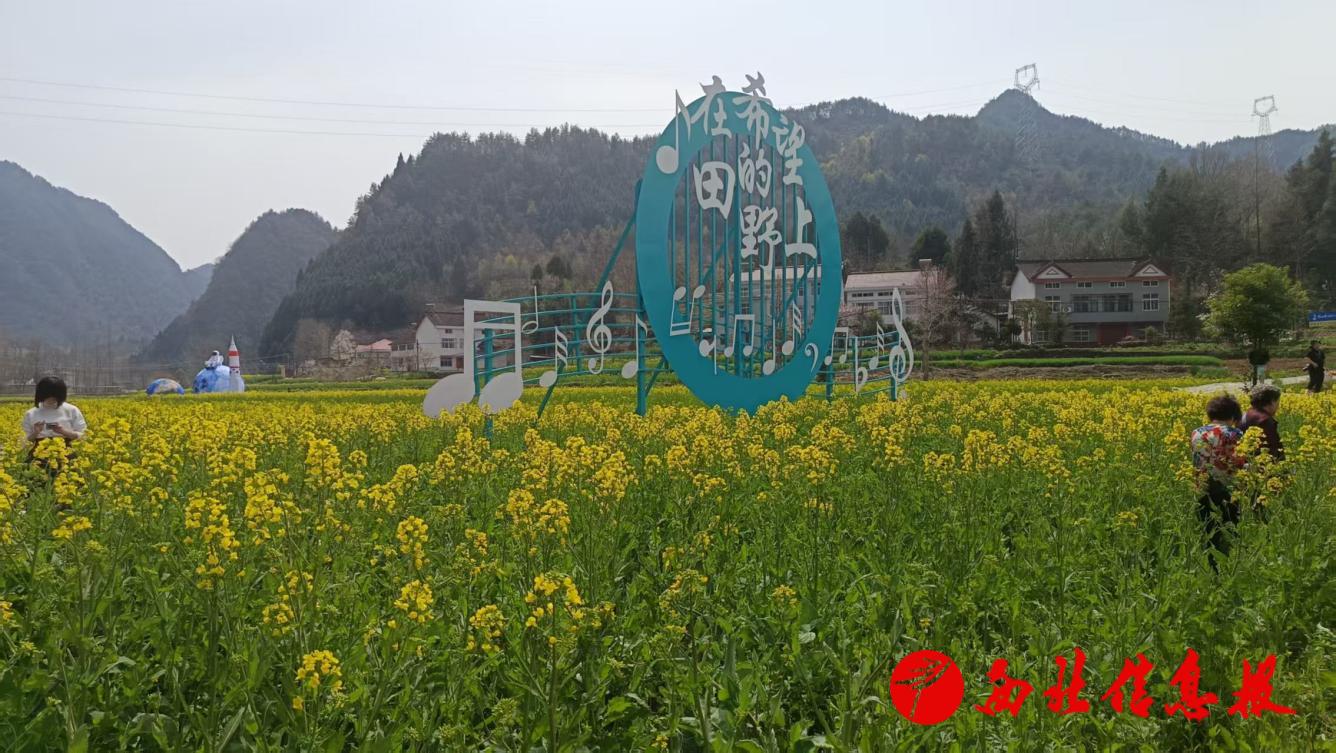 微信图片_20250403083055