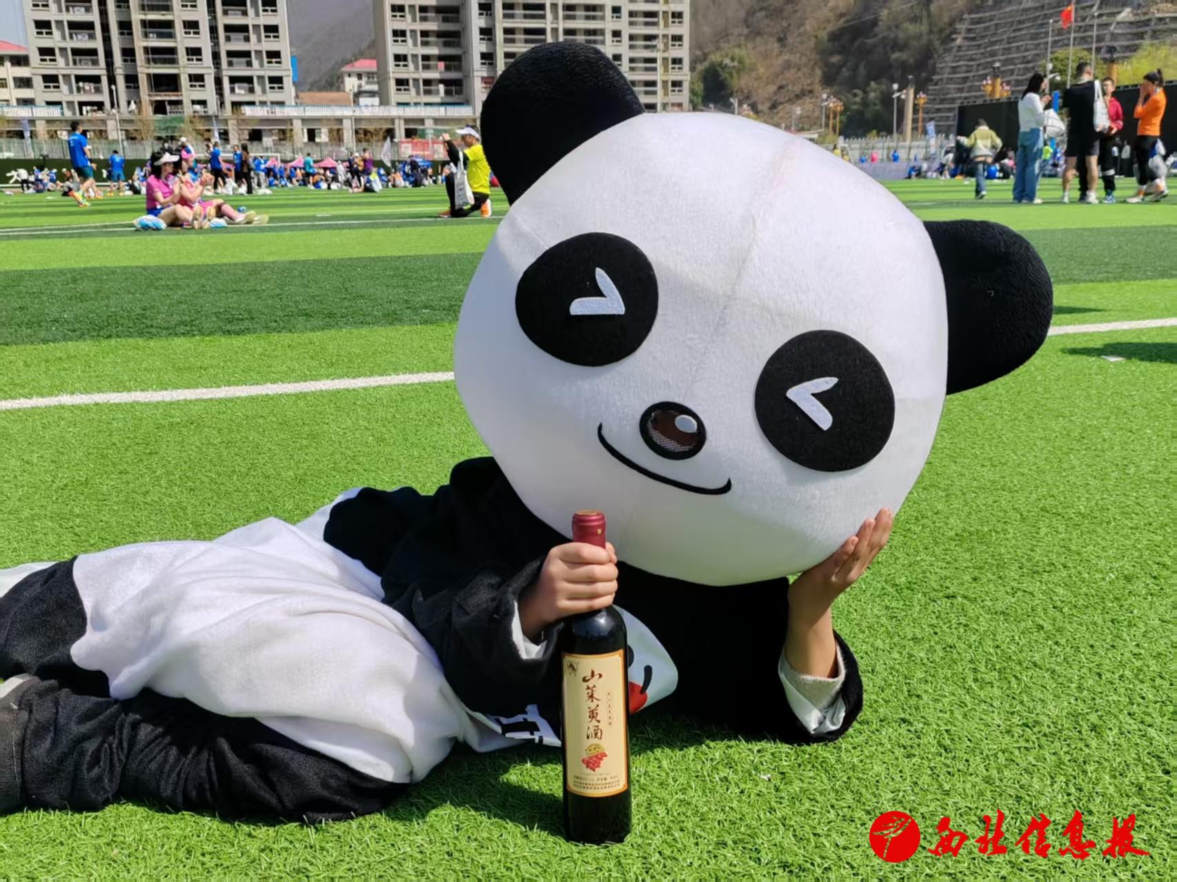 微信图片_20250331085413