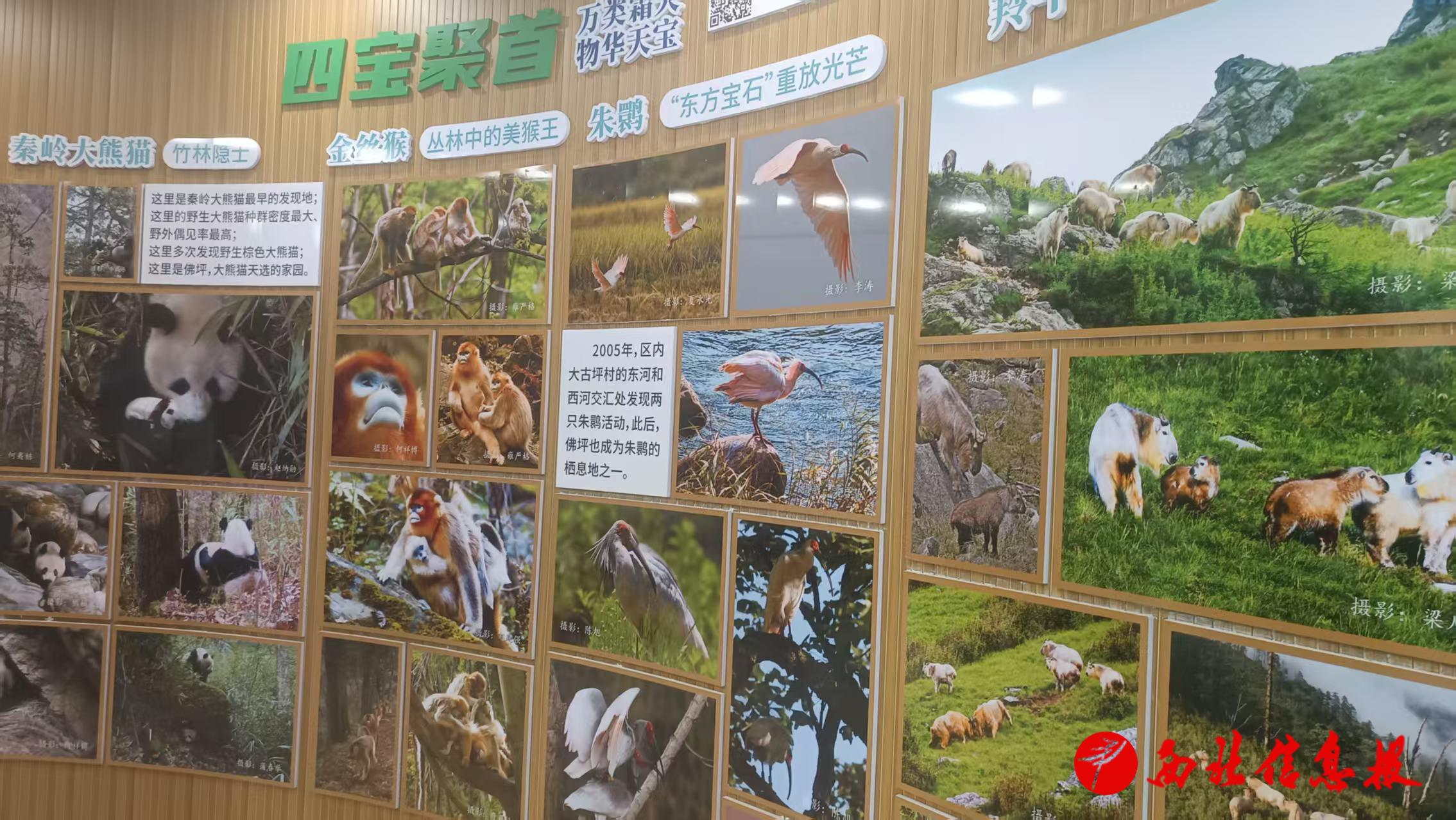 微信图片_20250421091122