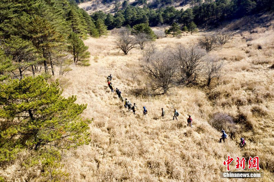 何以中国｜武夷山：人与青山两相 “夷” 探秘闽北山区的双世遗之城