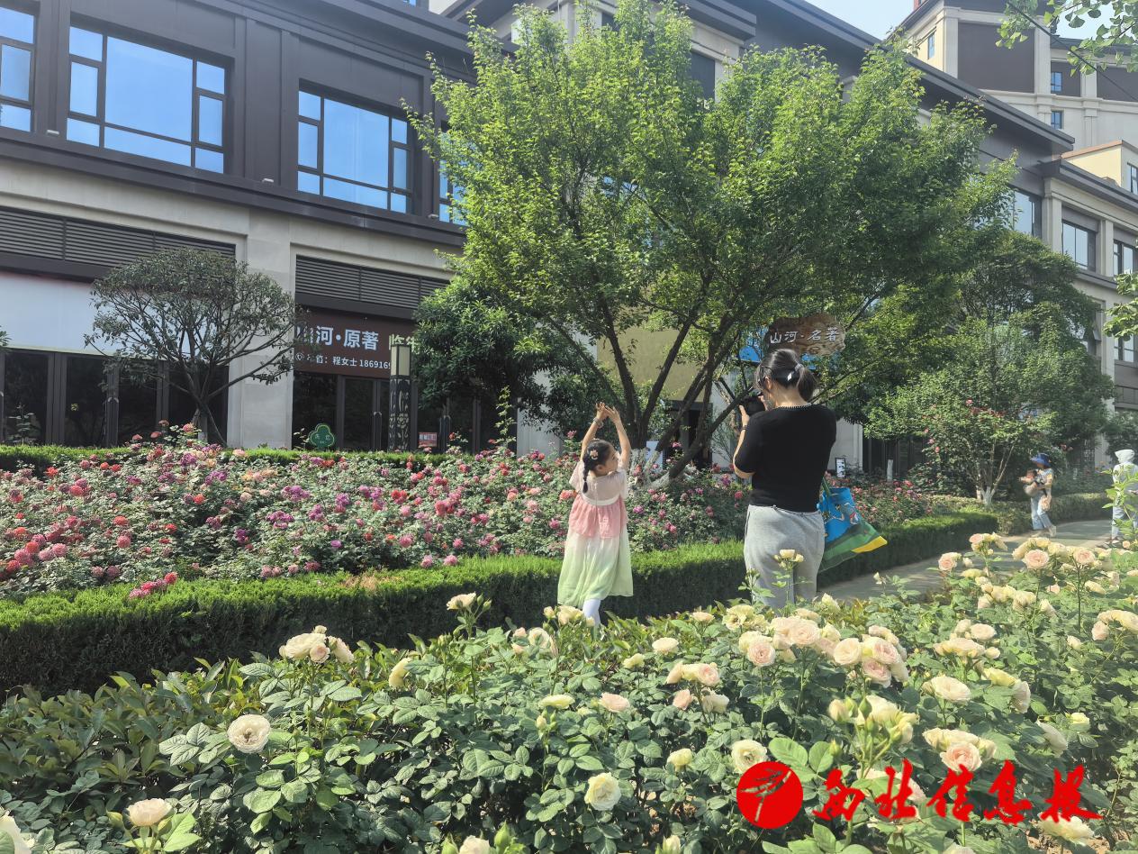 微信图片_20250502171155