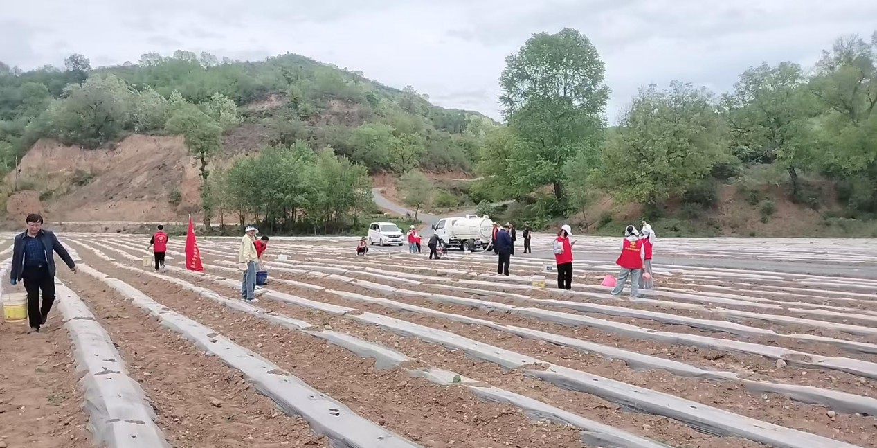 图片2