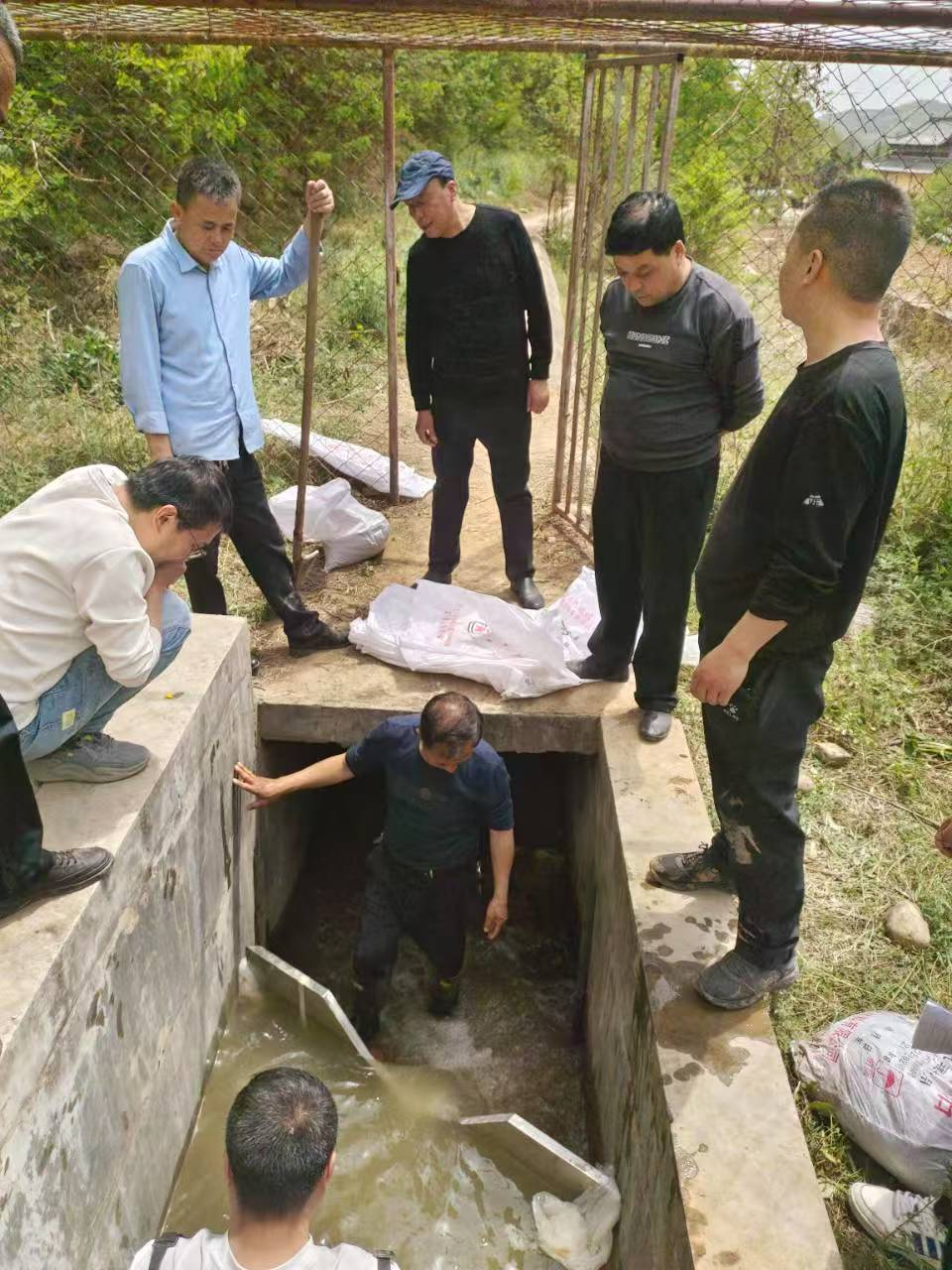 图片2