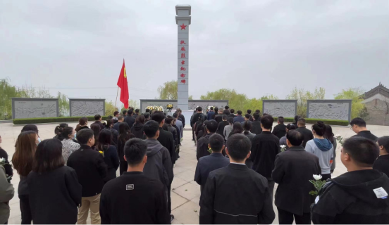 图片8