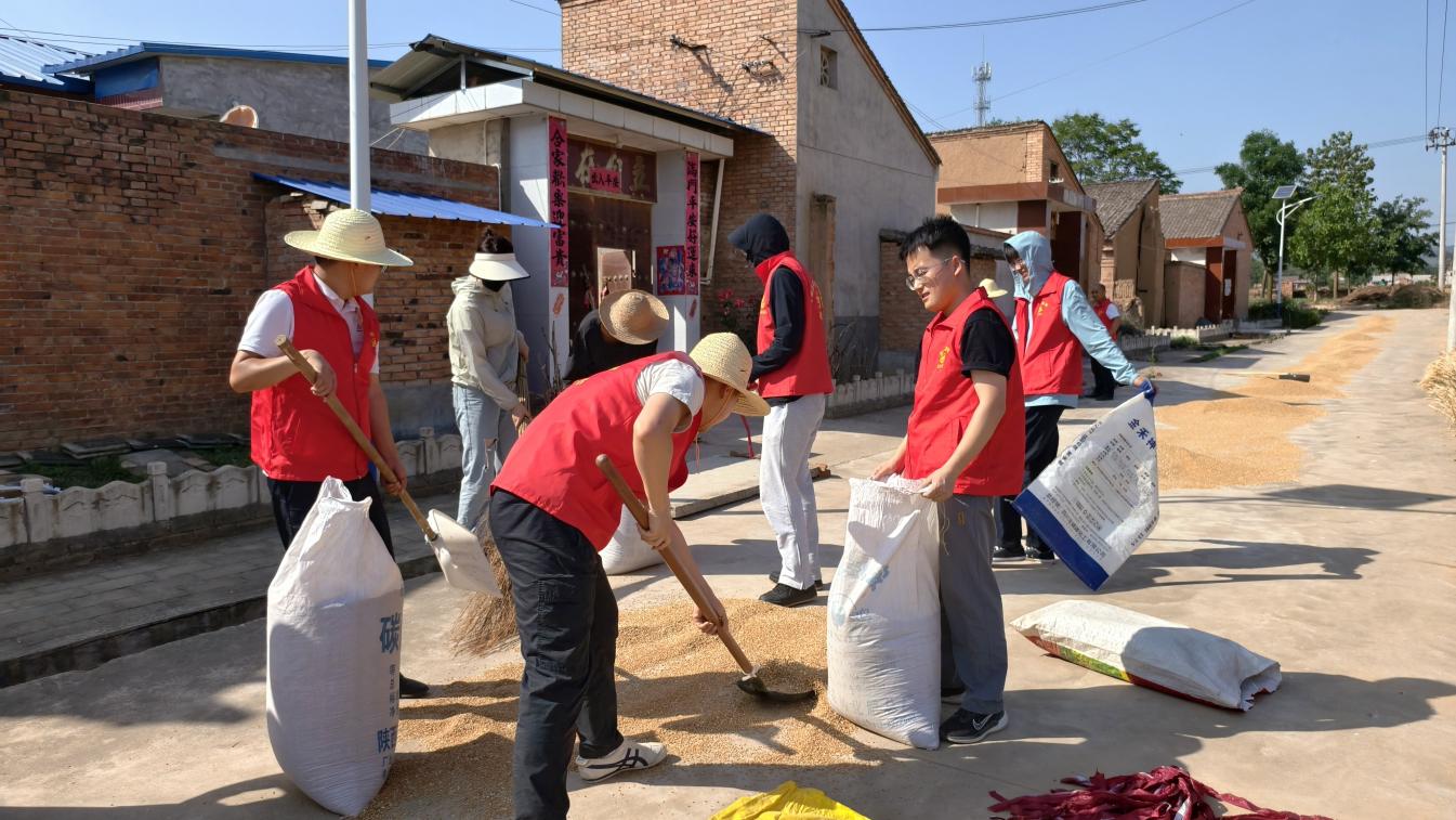 微信图片_20250613101632