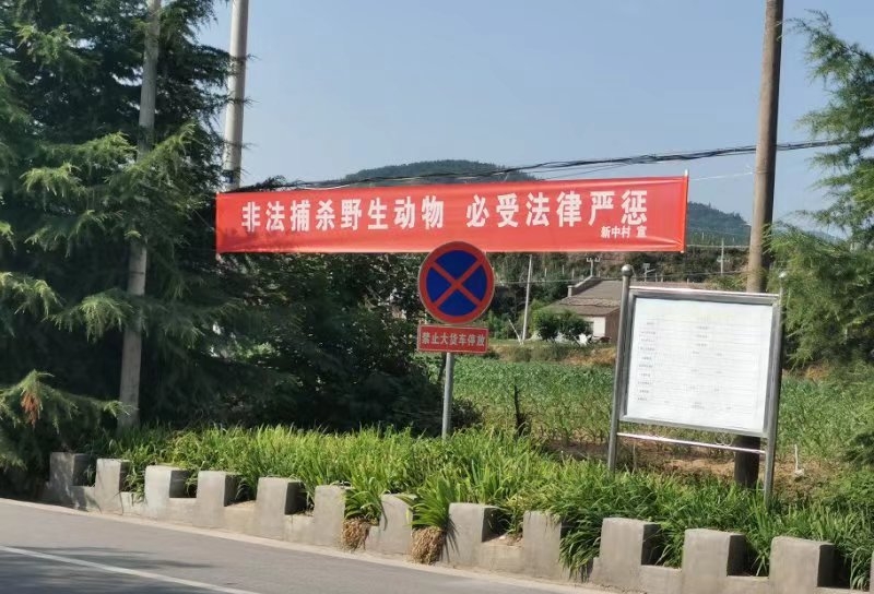 微信图片_20250625153212