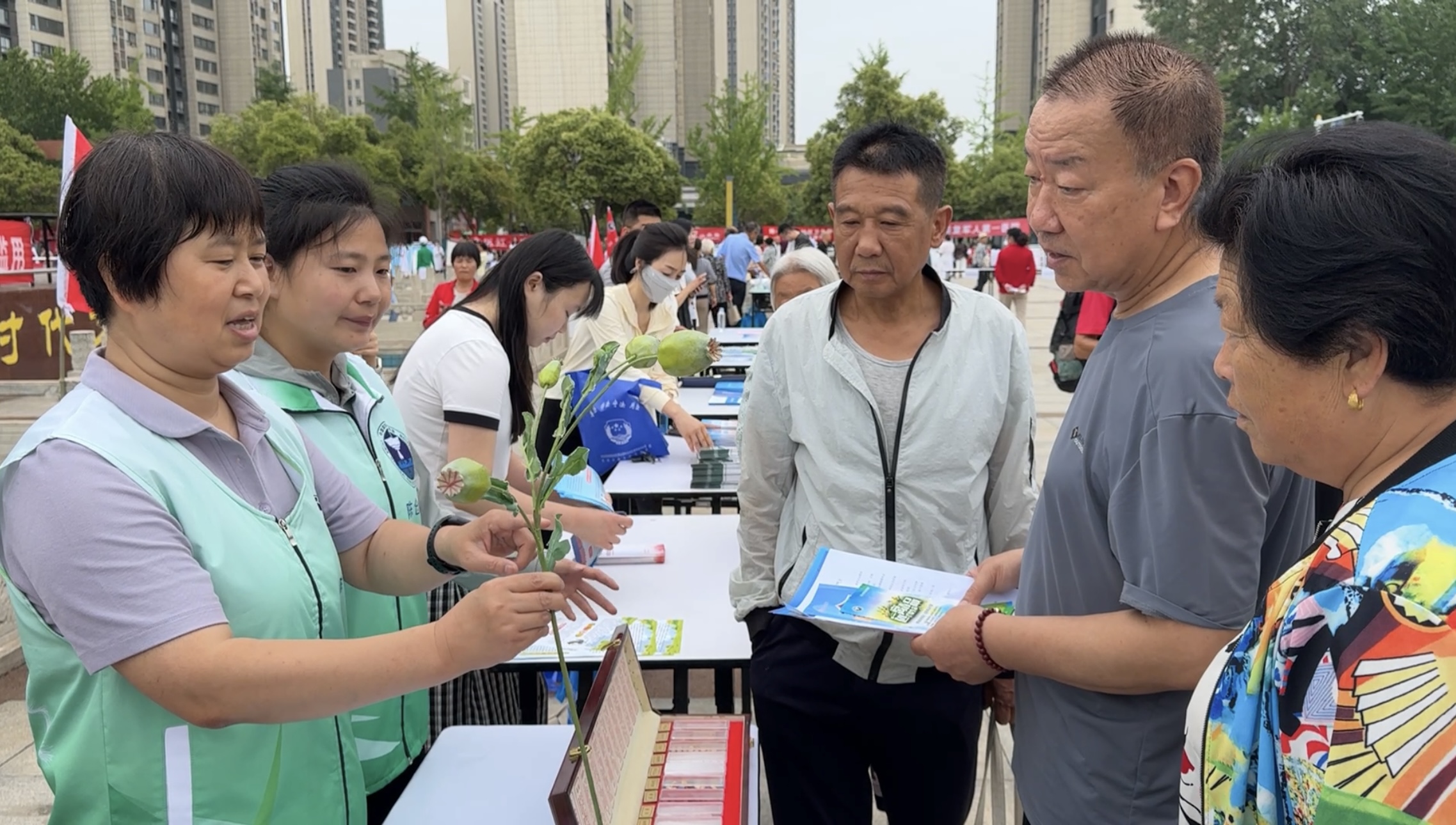 52fde775fcd425bcb2eff56a1e5ece33