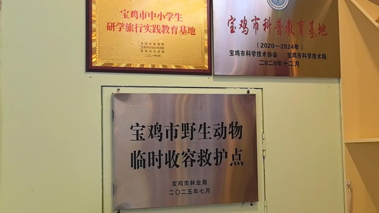 微信图片_20250717174827