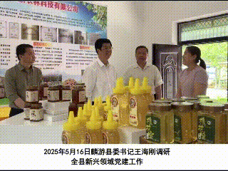 简篇-党建领航聚合力 奋楫扬帆启新程 中共麟游县委社会工作部成立﻿一周年工作纪实