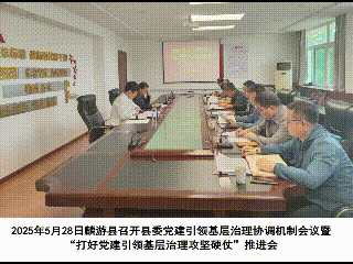 简篇-党建领航聚合力 奋楫扬帆启新程 中共麟游县委社会工作部成立﻿一周年工作纪实