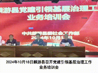 简篇-党建领航聚合力 奋楫扬帆启新程 中共麟游县委社会工作部成立﻿一周年工作纪实