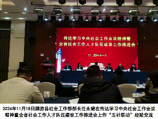 简篇-党建领航聚合力 奋楫扬帆启新程 中共麟游县委社会工作部成立﻿一周年工作纪实