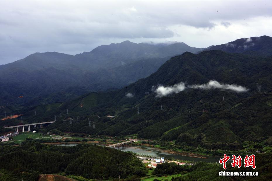 雨后武夷南麓宛如青绿水墨画