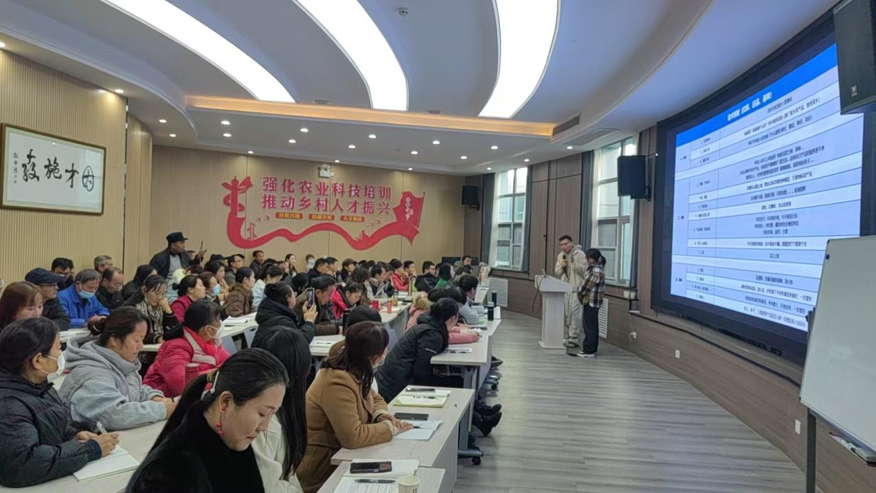 微信图片_20250724161002