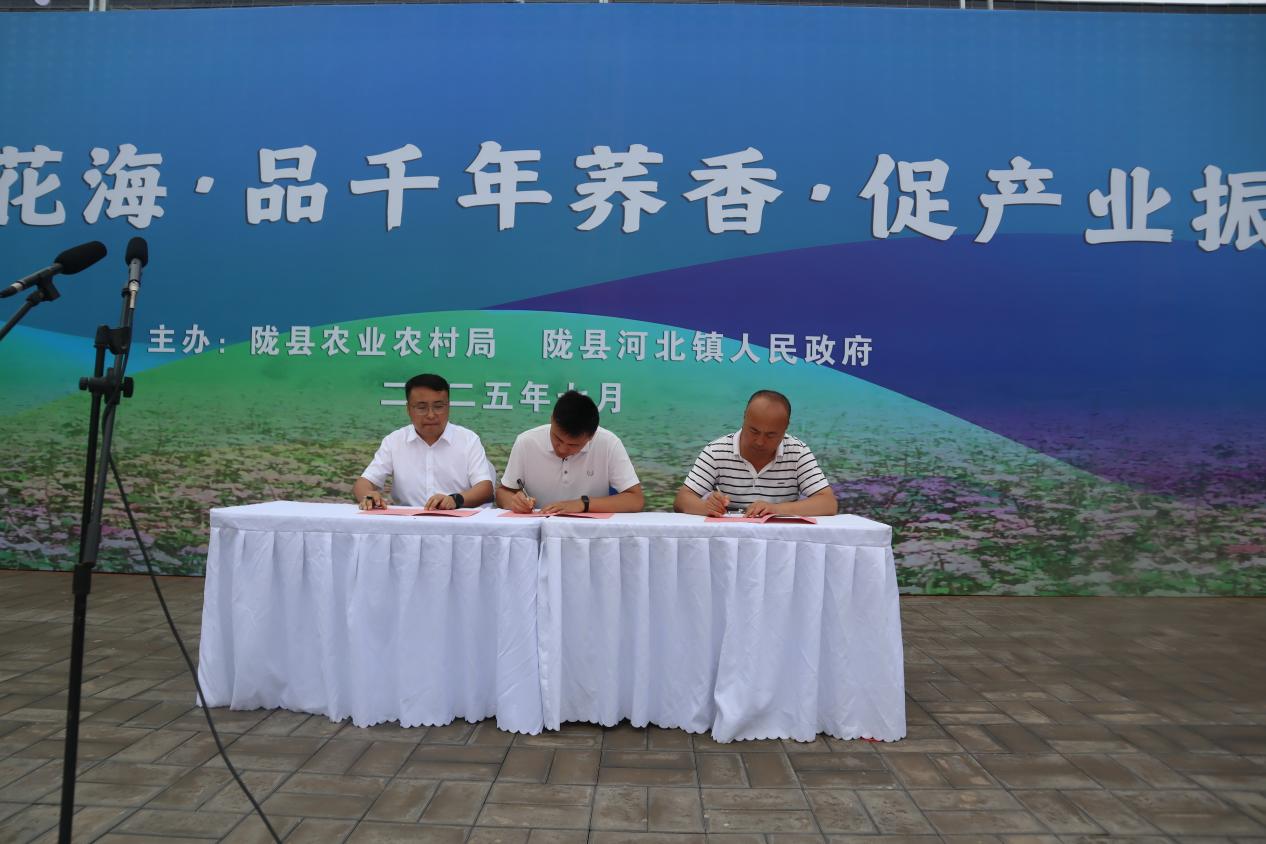 微信图片_20250729070316