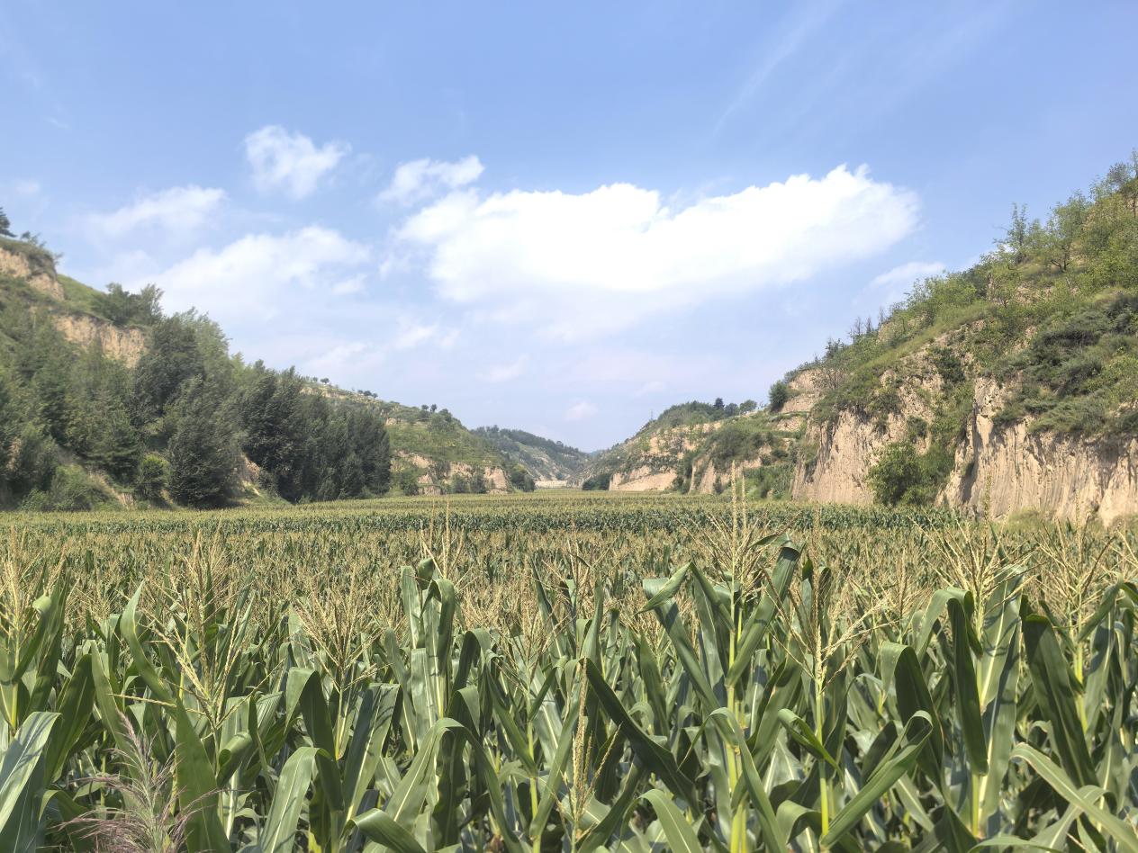 IMG_20250819_113643_edit_16480110120922