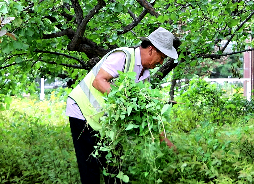 20250901155335941-26-e06fa.png 20250901155335941-26-e06fa.png