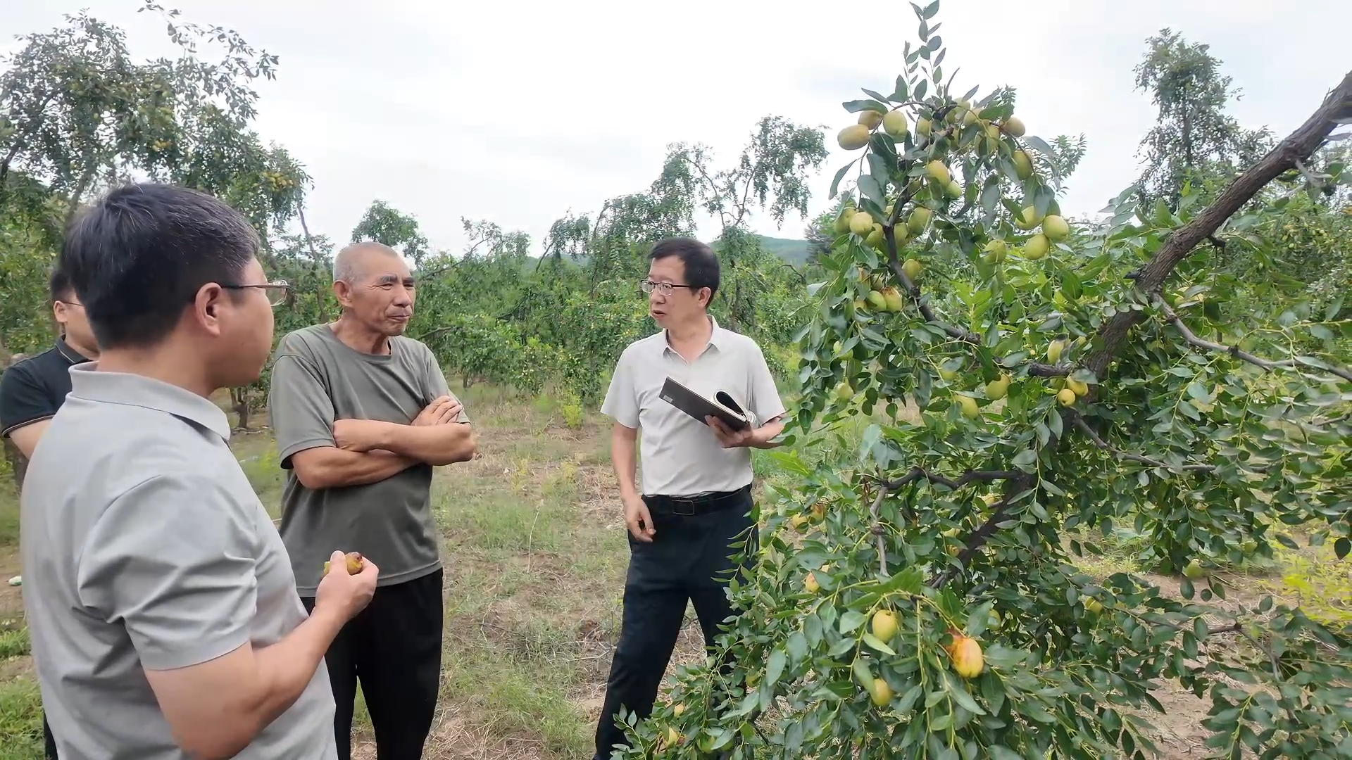 20250904155555896-5-aa013.png 20250904155555896-5-aa013.png