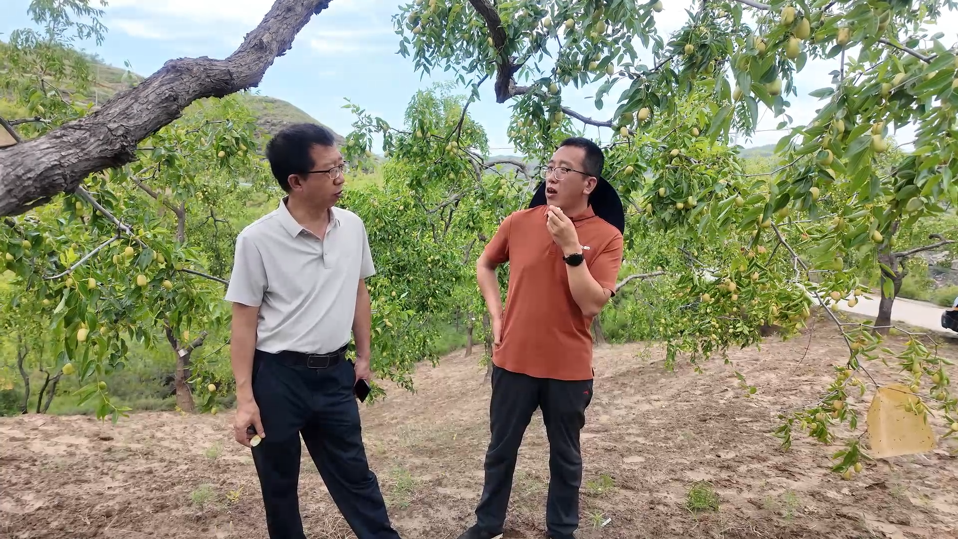 20250904155556671-18-0d441.png 20250904155556671-18-0d441.png