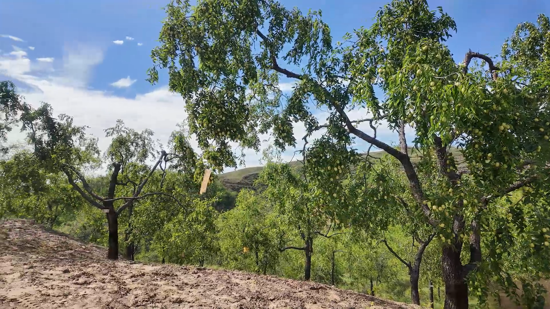 20250904155556837-11-bd23a.png 20250904155556837-11-bd23a.png