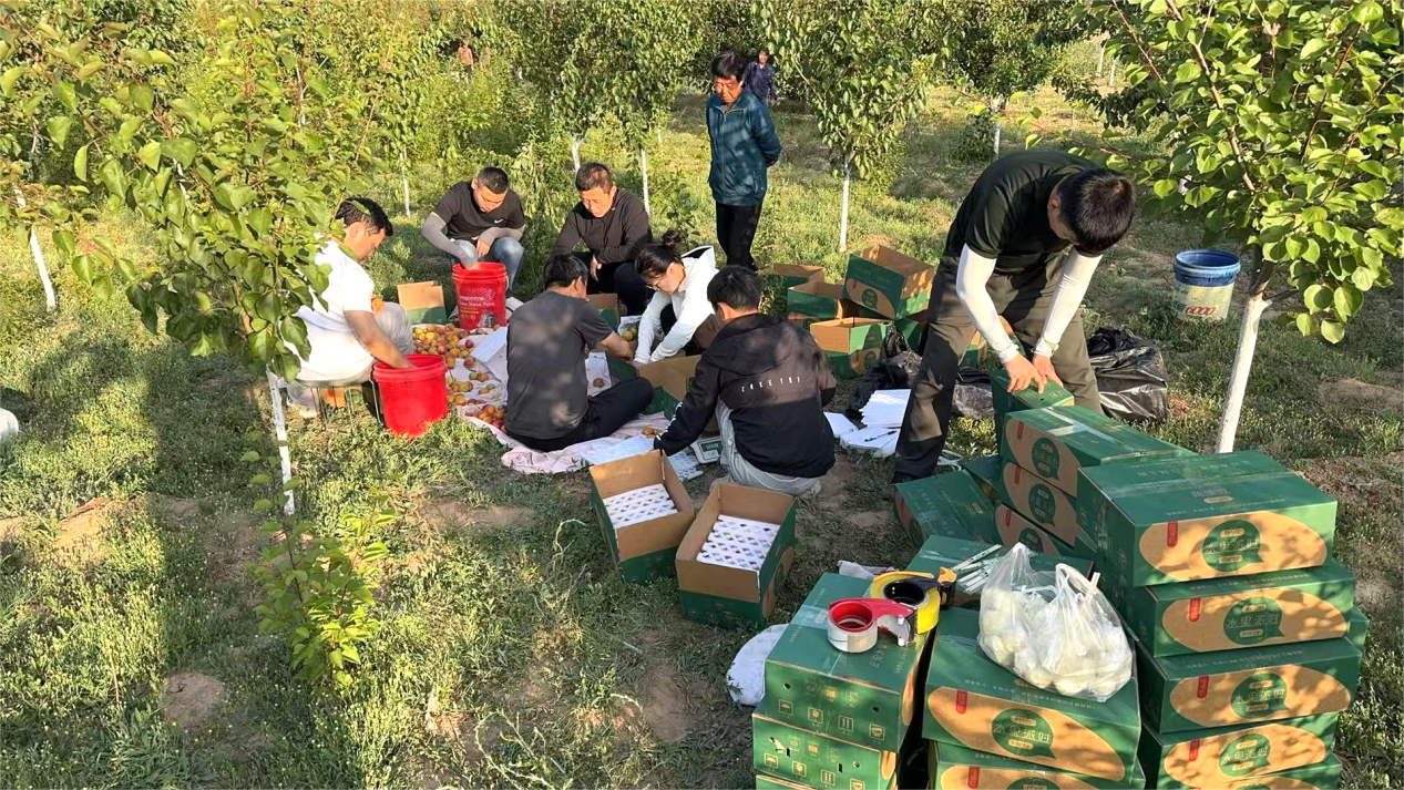 c248775cfbd3ee166ed047475aad02f