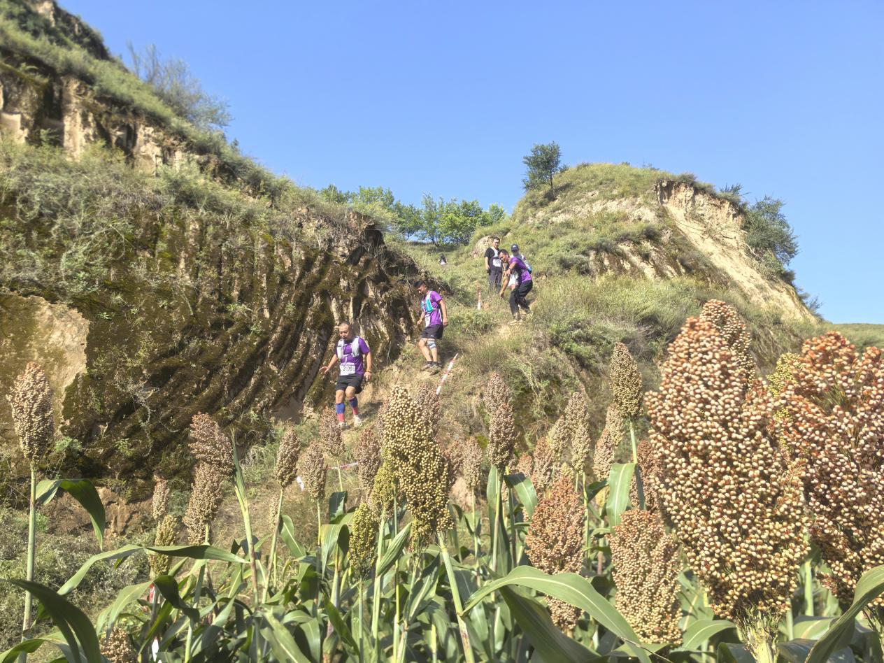 20250909102707296-58-33c5c.jpeg 20250909102707296-58-33c5c.jpeg