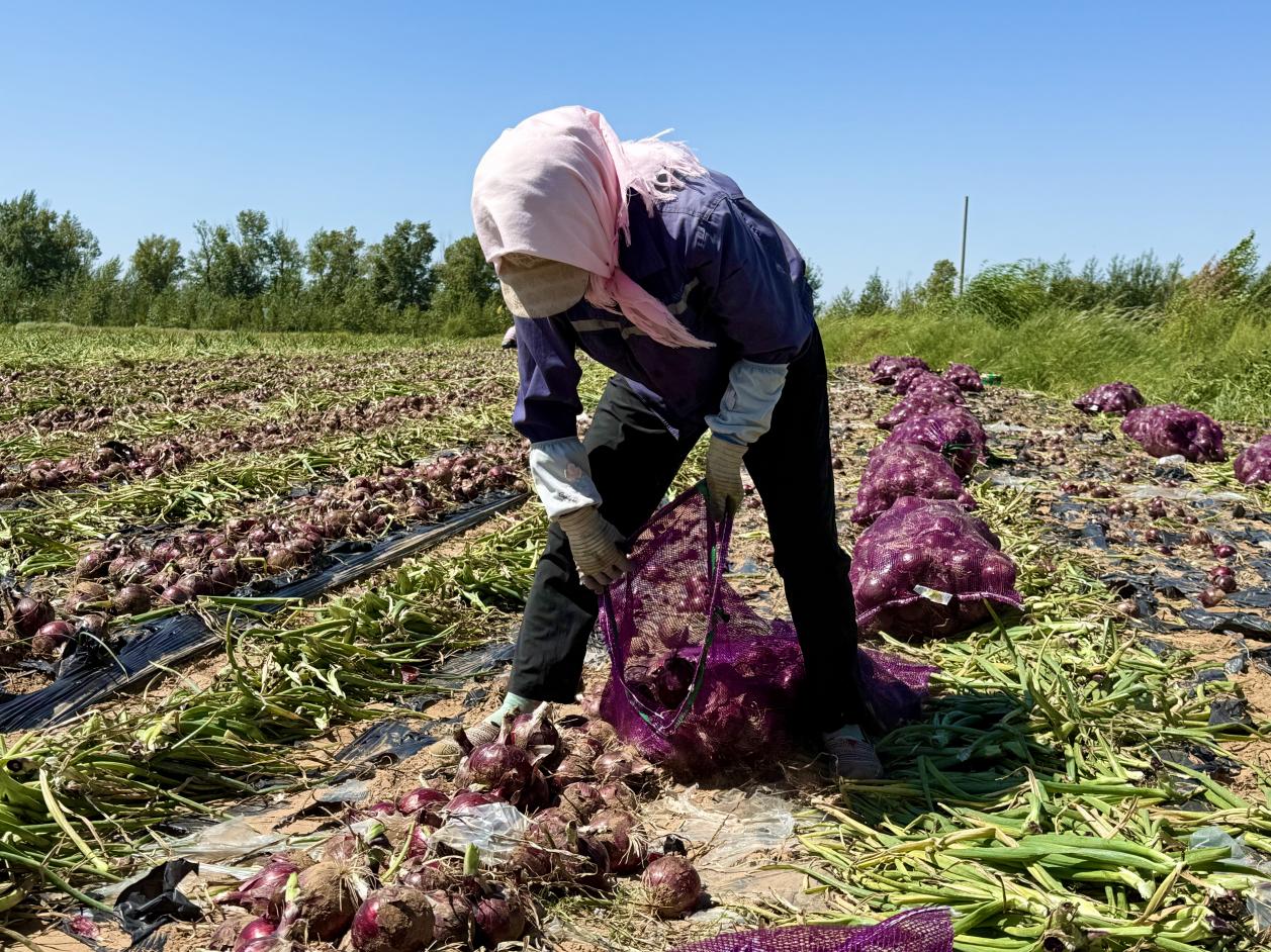 6d870ca8e73b845e8a705a3d20a8c386