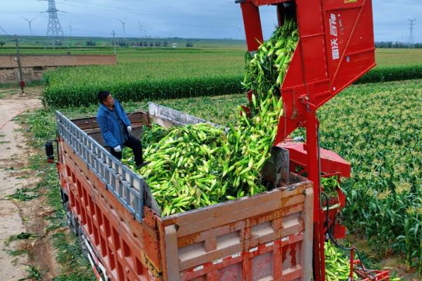 20250909103043898-36-4f6bb.jpeg 20250909103043898-36-4f6bb.jpeg