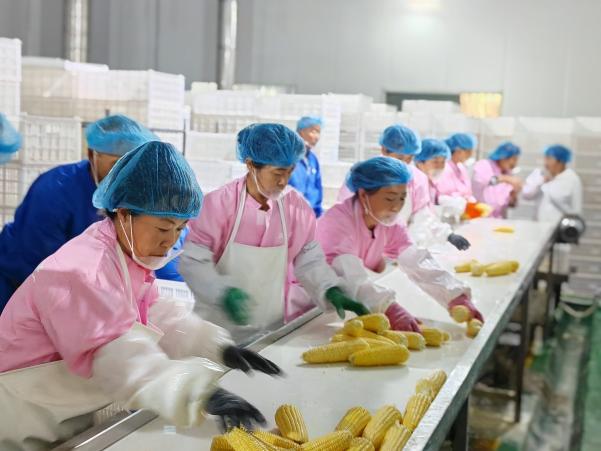 20250909103043933-79-5201a.jpeg 20250909103043933-79-5201a.jpeg