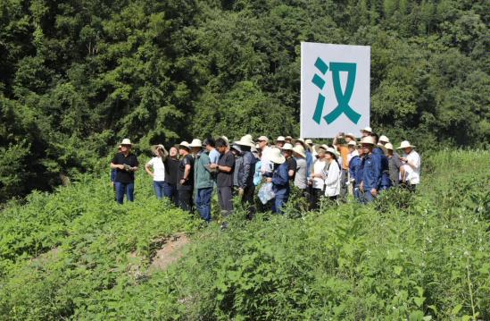 2025年，陕西省汉滨抽水蓄能电站预可研报告审查会召开，会前各单位代表到汉滨抽蓄现场进行实地查勘【摄 崔航】