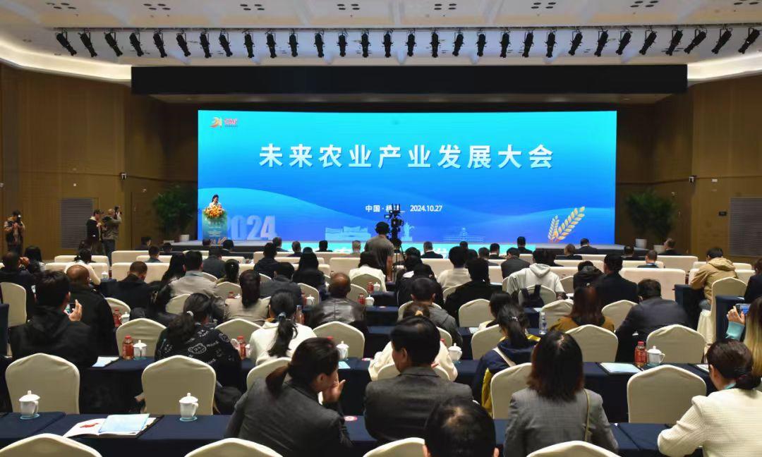 图片3