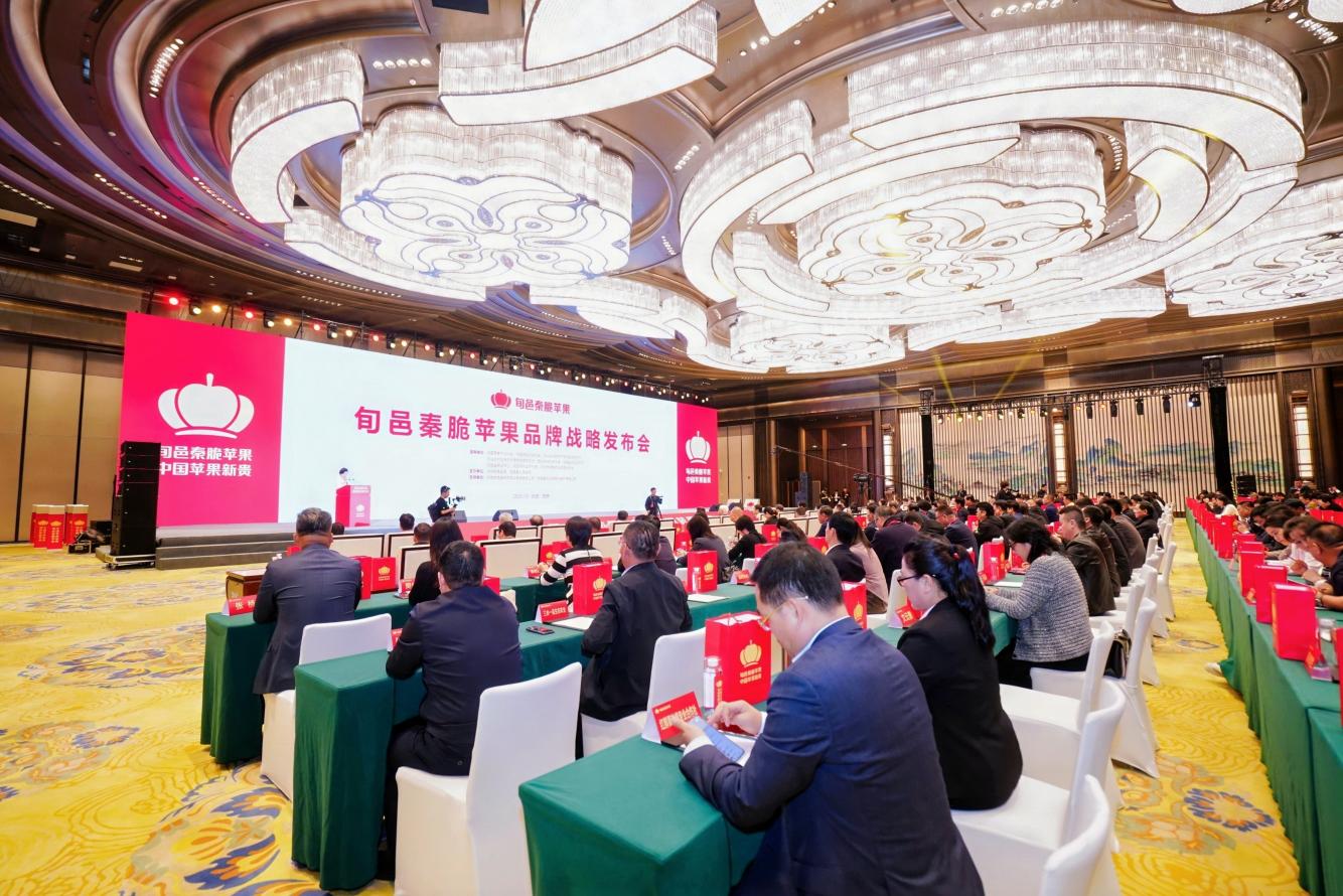 微信图片_20251013150419_40_811
