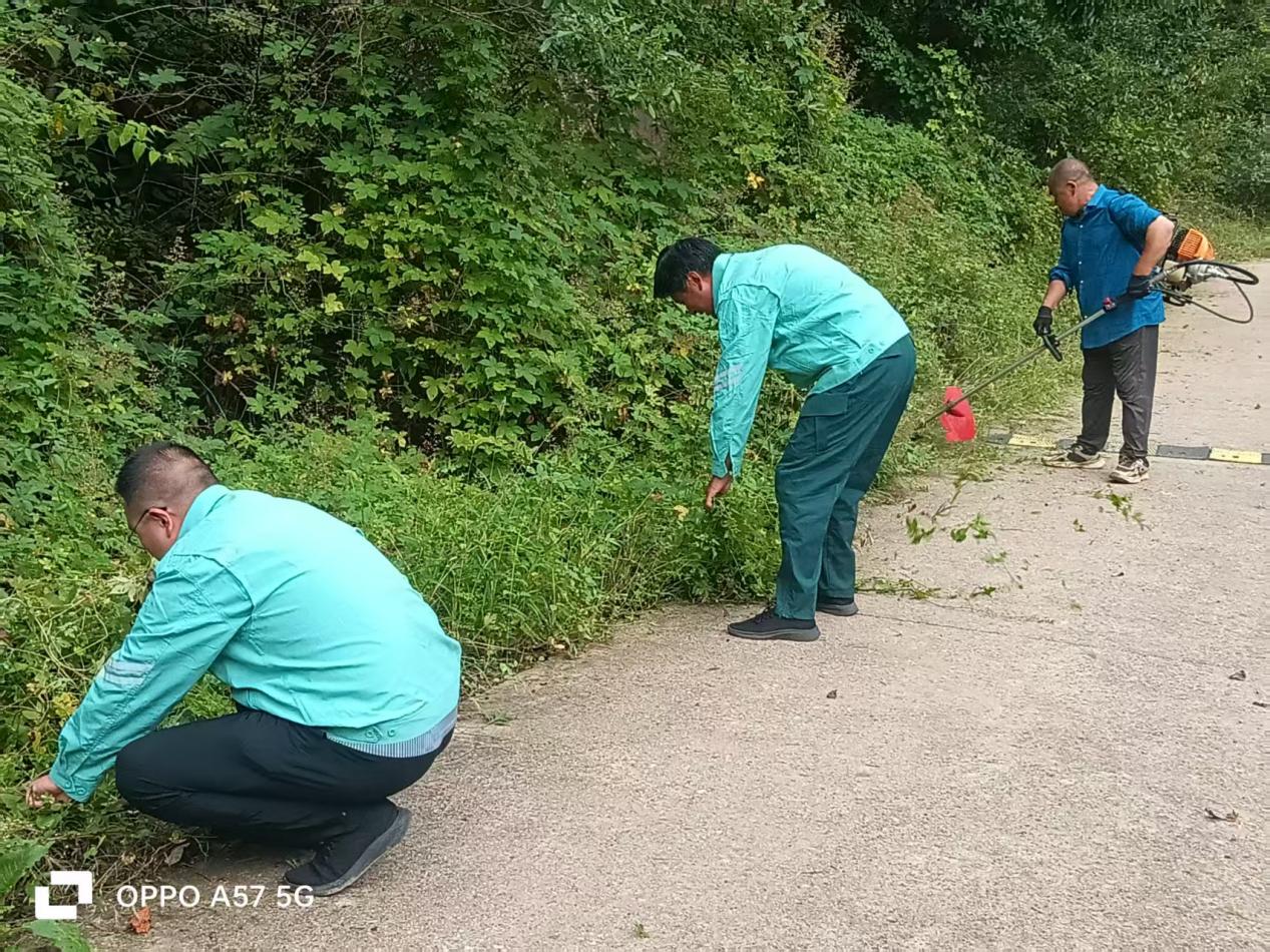 8e1c53fd5a7f7eda3c1654ab1e262e1a