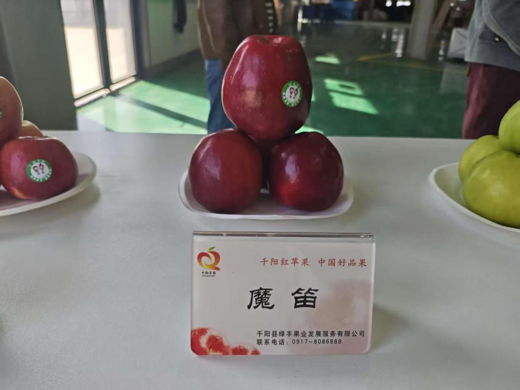 3935a658fd33335c622f4d92b7fee513