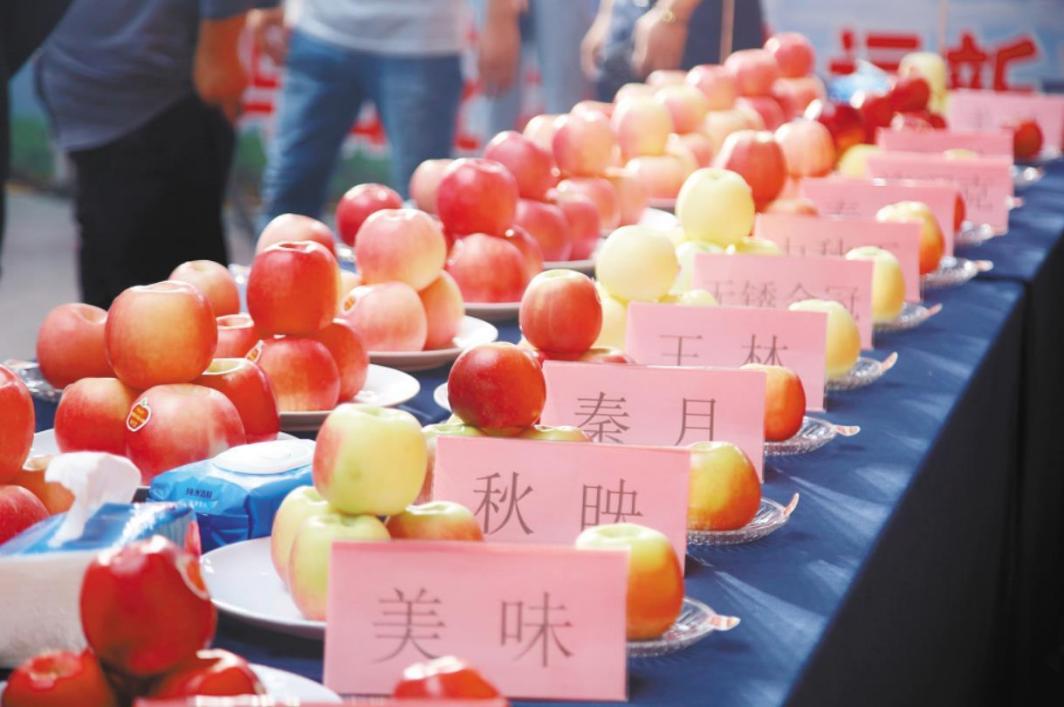 ddd860de7a4619257062bf2b16068701_10871705_daf26148-bbfa-4473-aceb-cff706016ea8