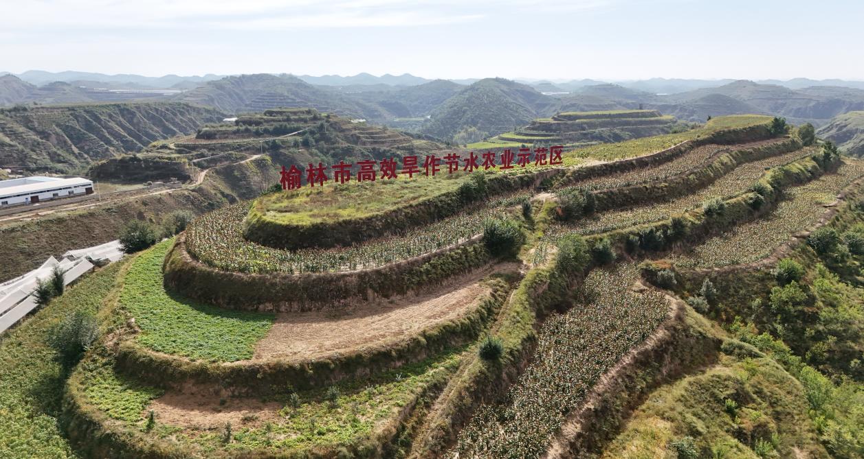 b21b340337996771e899e00102dd7d35