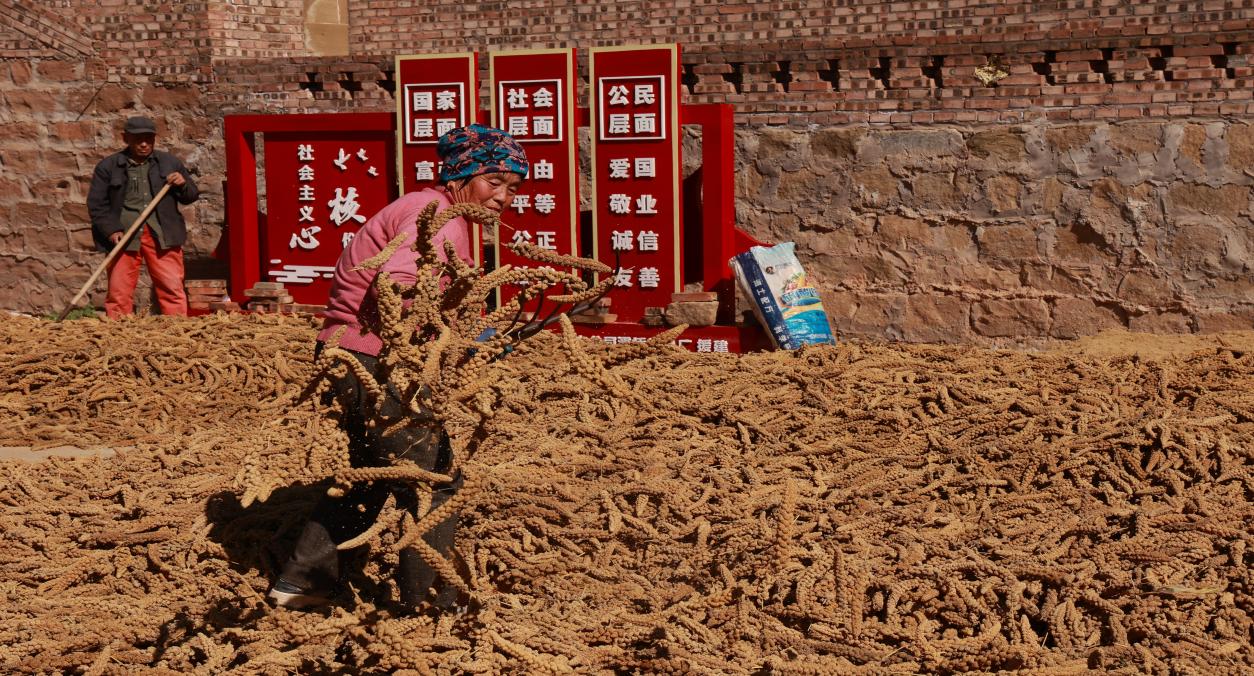 0b4f07905fd3eba504f50c17740a0350