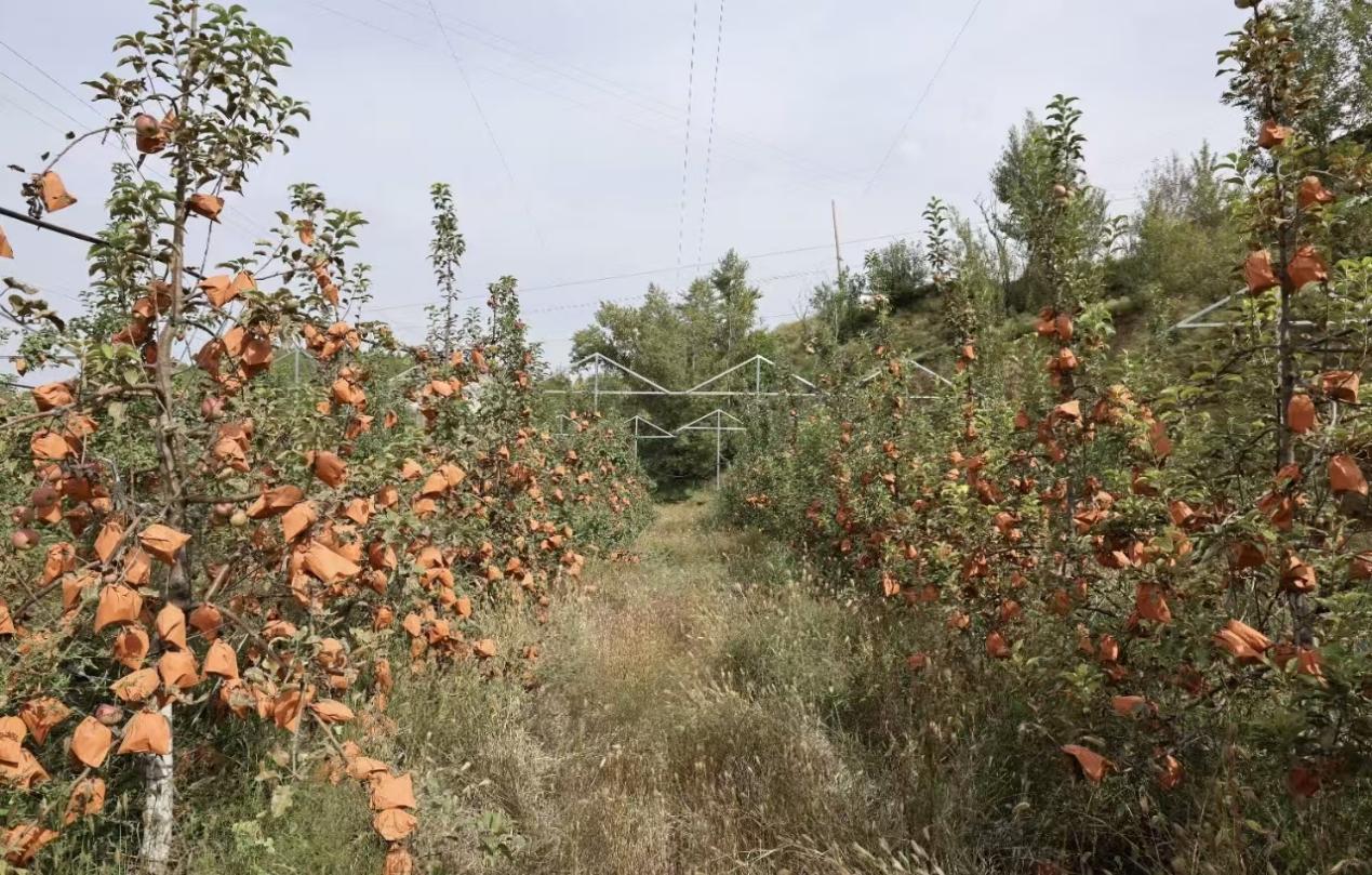 4b169fd7292657aaf1176abb1c3c1996