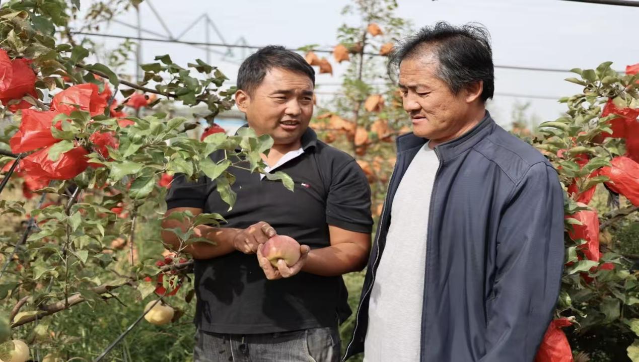 c32ab0386f83ae3629c71425ae0f0b7e