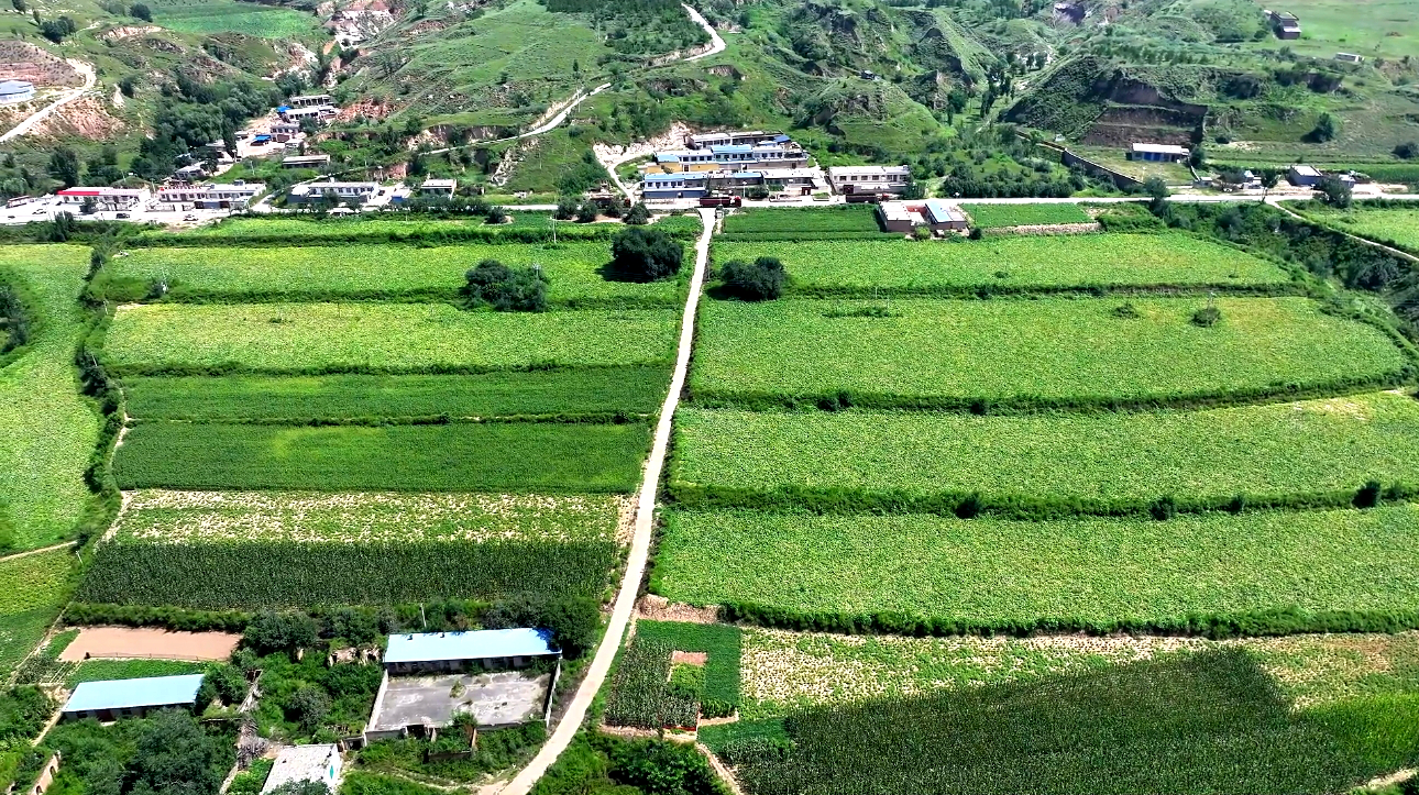 20251015134825748-85-7994c.jpg 20251015134825748-85-7994c.jpg