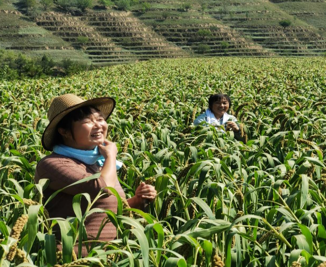 20251015140523925-7-6b385.png 20251015140523925-7-6b385.png