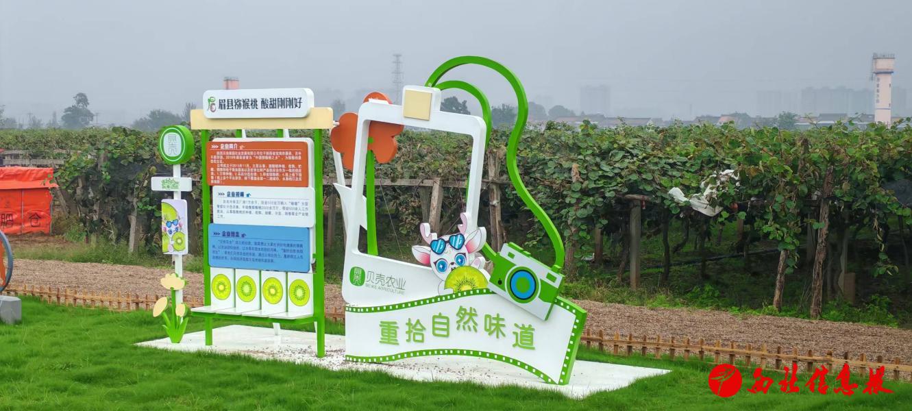 微信图片_20251016102938_15_160