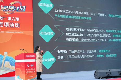 灵岫发布